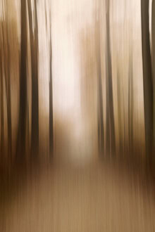 Photo art: blurred autumn forest with soft colors and motion