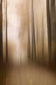 Photo art by Nadja Jacke: blurred autumn forest image with soft tones.