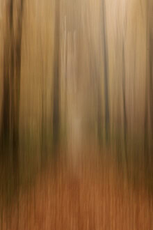 Photo art: Blurred image of an autumn forest with soft colors