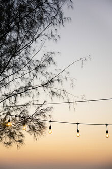 Photo art by Anke Dörschlen: warm evening sky over Zanzibar with tree silhouettes