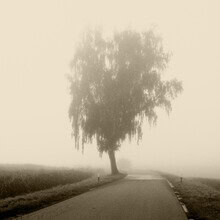 Photo art by Lena Weisbek: fog over a calm road in black and white