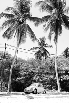 Wandbild von Inflight Galerie: VW Käfer am Strand unter Palmen in Thailand
