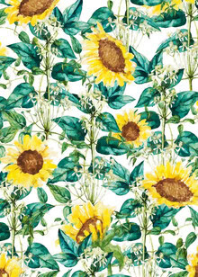 Wandbild von Uma Gokhale: bunte Sonnenblumen in einem idyllischen Tal.