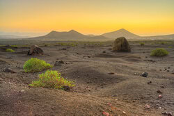 Vulkanlandschaft auf Lanzarote bei Morgendämmerung, friedliche Stimmung mit sanften Farben.