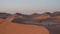 Photo art by Dennis Wehrmann: calm sunrise in the Sahara with gentle dunes