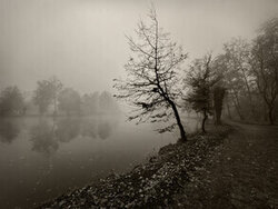 Photo art by Lena Weisbek: tranquil, foggy morning landscape by the river.