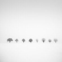 Photo art by Christian Janik: tranquil winter landscape with fog and snow-covered trees