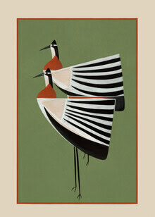 Illustration eines gestreiften Vogelpaares auf sanftem Hintergrund