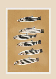 Illustration von Branka Kodžoman: minimalistische Darstellung von Fischen im Ozean