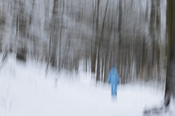 Fotokunst: Verwischter Winterwald mit Spaziergängerin, sanfte Bewegungen im Schnee.