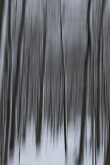 Fotokunst: verwischter Winterwald mit sanften Bewegungen und ruhiger Stille