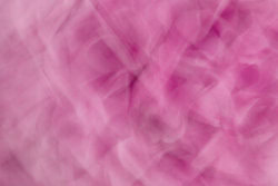 Fotokunst von Nadja Jacke: sanfte, fließende Blüten in sanften Farben