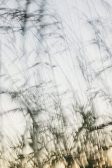 Photo art by Nadja Jacke: gentle movements of grasses in a meadow