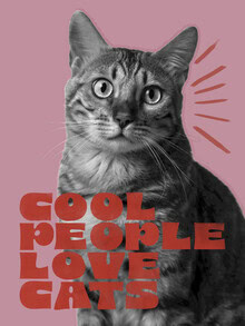 Wall art by Ania Więcław: stylized cat in retro design with warm colors.