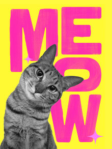 Wall art featuring a colorful cat design in pink and yellow by Ania Więcław.