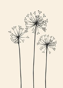 Illustration by Branka Kodžoman: soft dandelion in a neutral tone