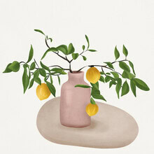 Illustration by Branka Kodžoman: Delicate arrangement of lemon branches