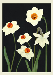 Illustration by Branka Kodžoman: delicate summer flowers in soft colors