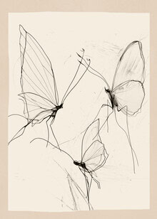 Schmetterlingsillustration von Branka Kodžoman: minimalistisches Design in sanften Linien.
