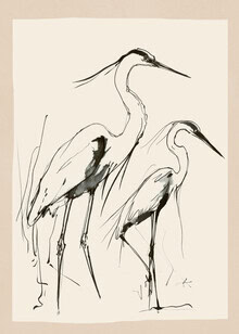 Illustration von Branka Kodžoman: zwei Reiher im ruhigen Wasser