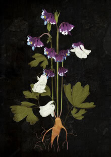 Botanical illustration featuring ghosts: delicate flowers in soft colors.