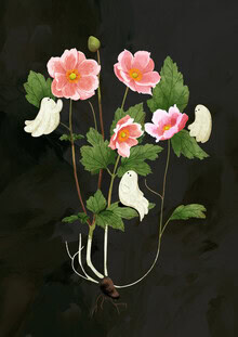 Playful illustration of a ghost emerging from a pink anemone flower.