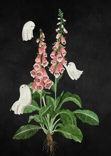 Illustration by Katherine Blower: delicate foxglove plant with a mysterious feel