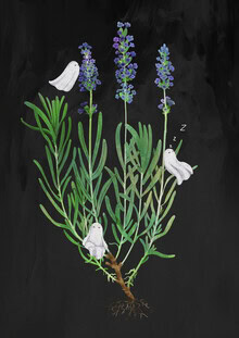 Wall art by Katherine Blower: playful ghosts among lavender flowers.