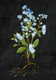 Illustration by Katherine Blower: playful ghosts surrounded by forget-me-not flowers.