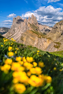 Photo art by Achim Thomae: spring landscape in the Dolomites with colorful flowers