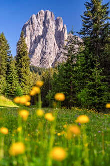Leinwandbild von Achim Thomae: Langkofel in den Dolomiten, sanfte Gelbtöne und entspannende Stimmung.