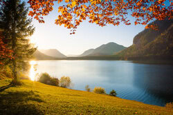 Beautiful autumn landscape at Sylvenstein reservoir with colorful leaves and mountains in the background.