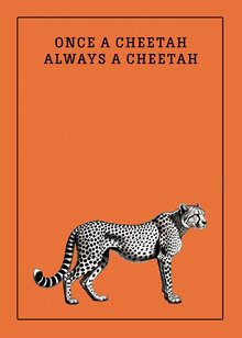 Illustration by Daniel Leo: funny cheetah with an orange background
