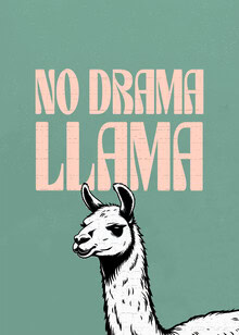 Wall art by Daniel Leo: funny llama in vibrant colors with a humorous quote