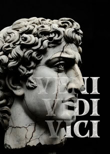 Wall art by Daniel Leo: humorous illustration of Julius Caesar with a quote.