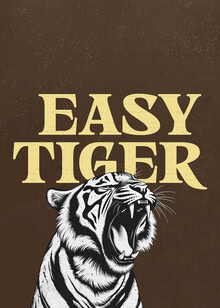 Wall art by Daniel Leo: funny tiger with a friendly face in pop art style
