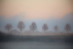 Fotokunst von Oliver Buchmann: mystische Landschaft in Nebel und Licht