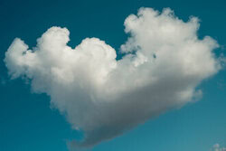 Wandbild von Tal Paz-Fridman: Wolke in Herzform am blauen Himmel.