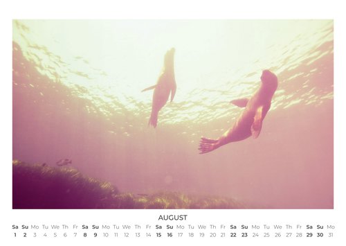 2026 For A Better World Photo Calendar