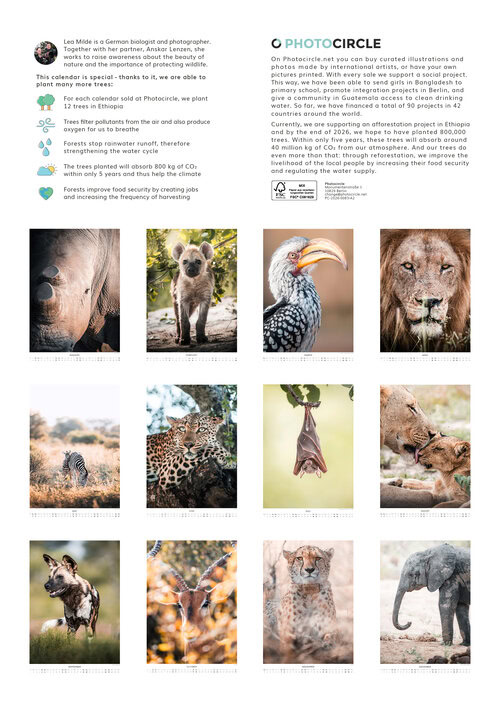 2026 South Africa's Wild Life Calendar