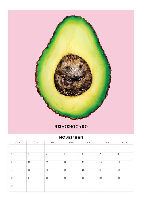 2026 Foodimals Squares Planner & Calendar