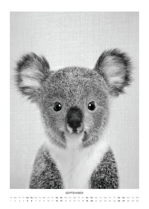 2026 Baby Animal Portraits Calendar