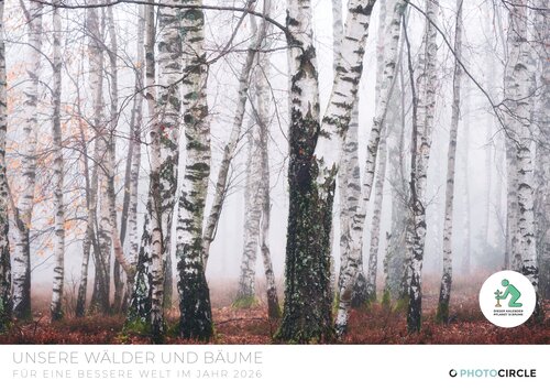 2026 Forest and Trees Calendar