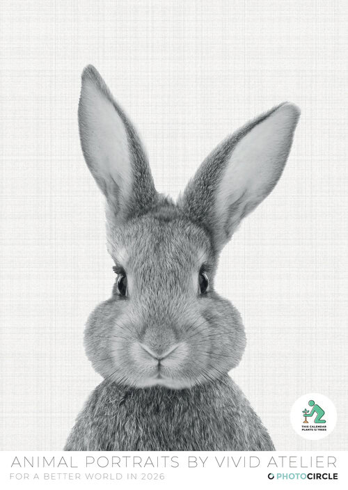 Tierportraits Kalender 2026