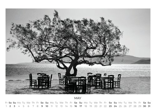 2026 For A Better World Photo Calendar