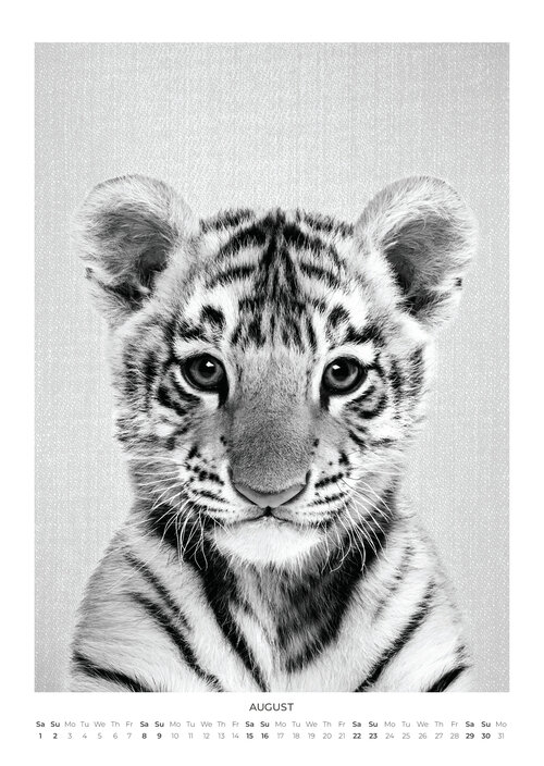 2026 Baby Animal Portraits Calendar