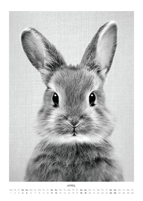 2026 Baby Animal Portraits Calendar