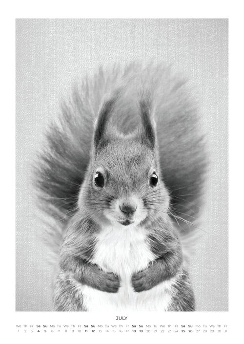 2026 Baby Animal Portraits Calendar