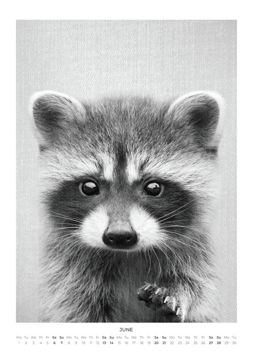 2026 Baby Animal Portraits Calendar