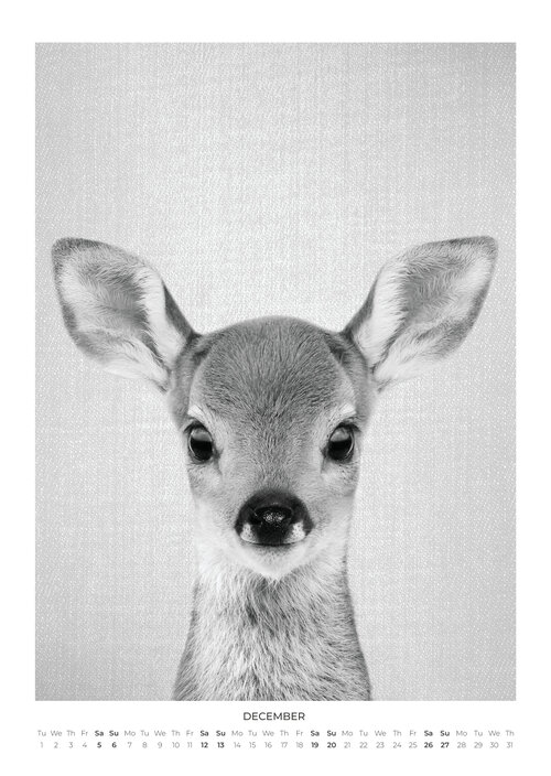 2026 Baby Animal Portraits Calendar